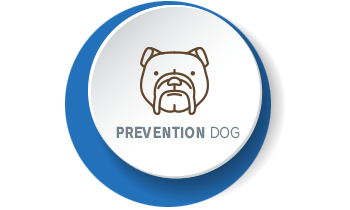 犬の予防について