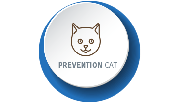 猫の予防について