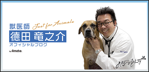 徳田竜之介のamebaバナー