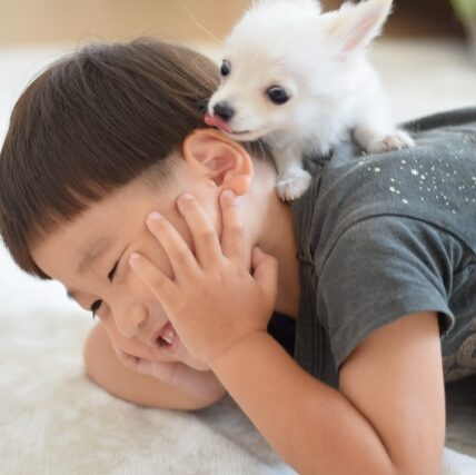 男の子の耳を舐める子犬