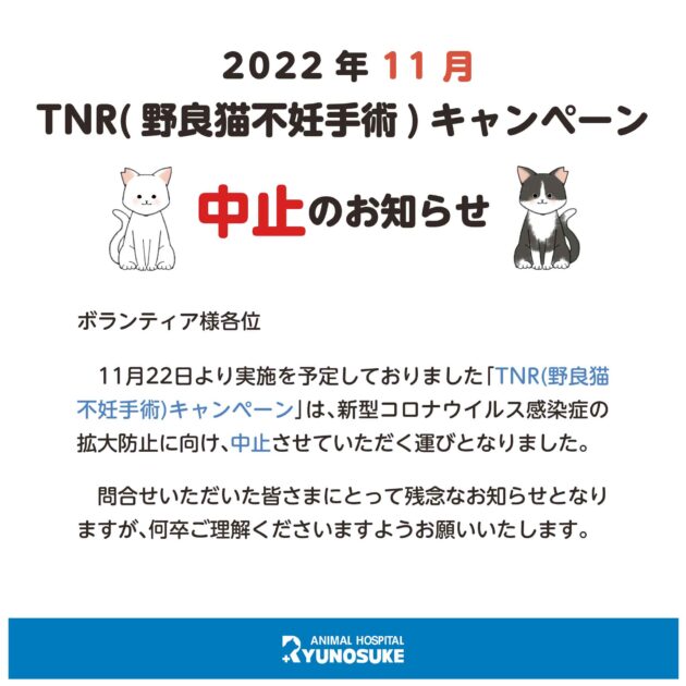 TNR告知11月中止のお知らせ