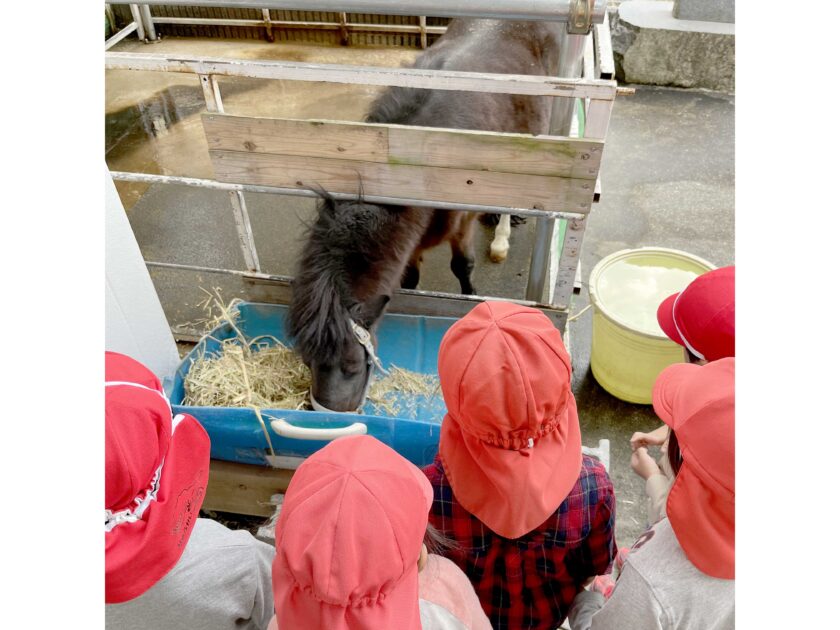 九州動物学院のロシナンテを見学する園児たち