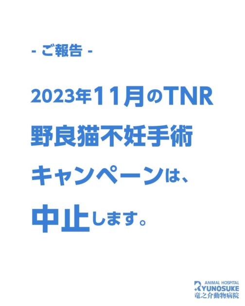 TNR中止のお知らせ