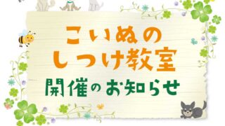 イベント　5月のパピーパーティ〜仔犬のしつけ教室〜開催のお知らせ