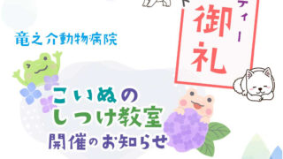 イベント　6月のパピーパーティ〜仔犬のしつけ教室〜開催のお知らせ