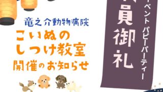 イベント　7月のパピーパーティ〜仔犬のしつけ教室〜開催のお知らせ