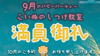 イベント　9月のパピーパーティ〜仔犬のしつけ教室〜満員御礼のお知らせ