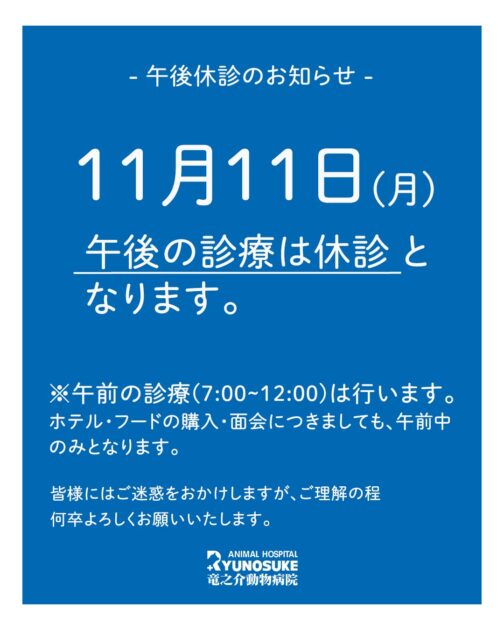 11月午後休診のお知らせ