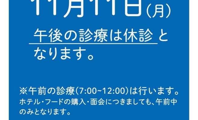 11月午後休診のお知らせ