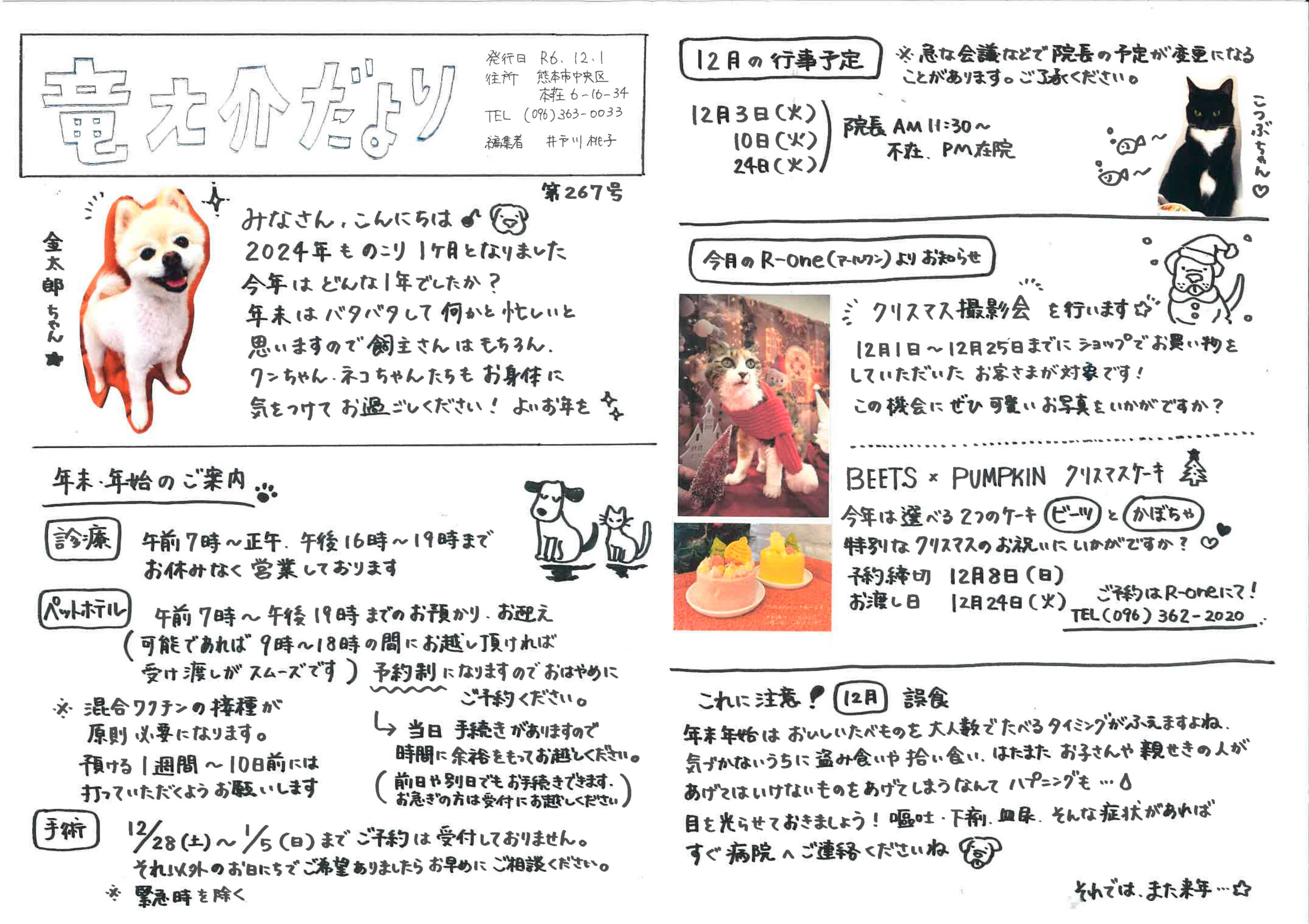 修正竜之介だより12月