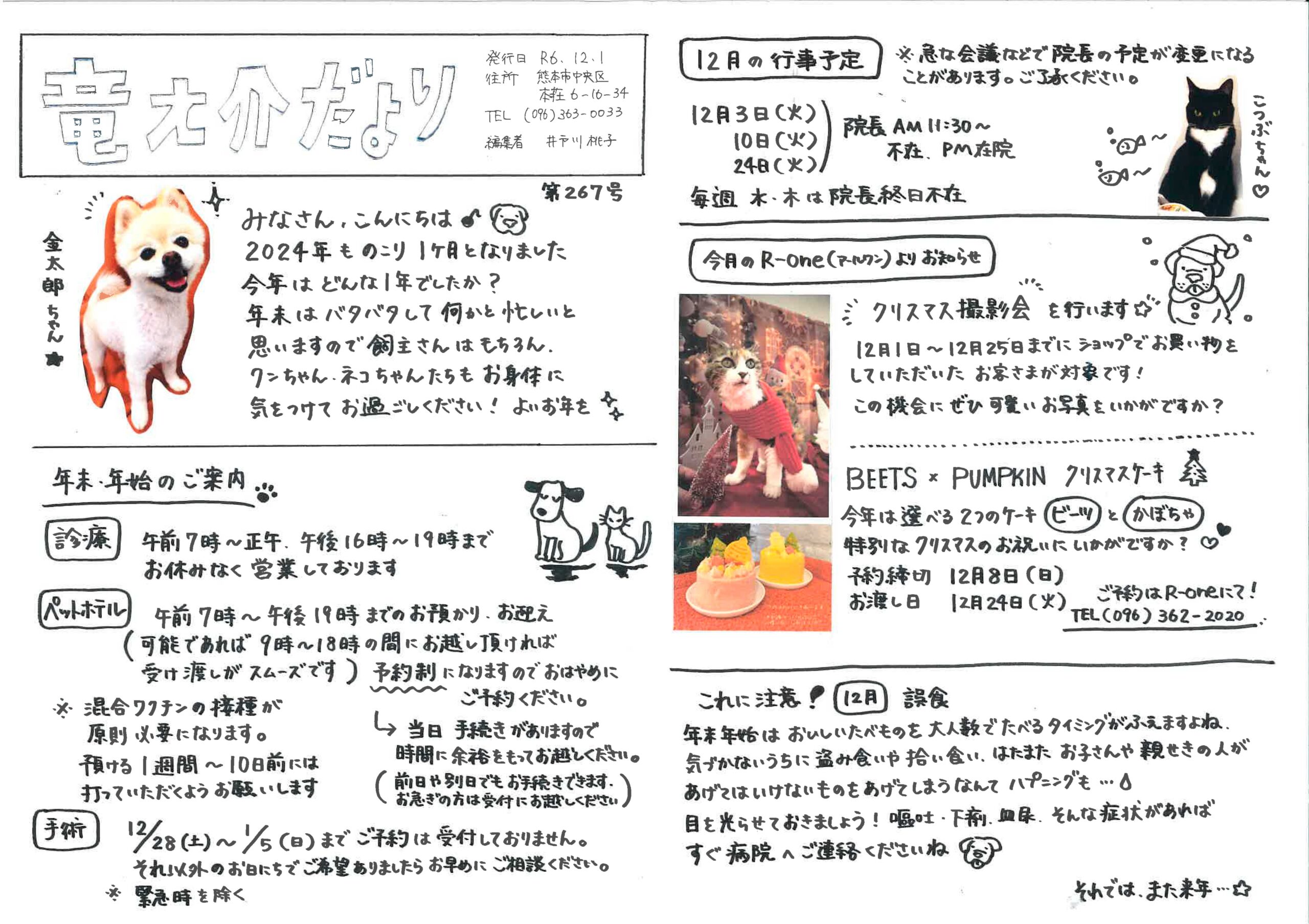 2024年12月竜之介だより