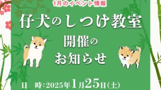 イベント　1月のパピーパーティ〜仔犬のしつけ教室開催のお知らせ