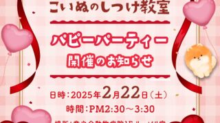 イベント　2月のパピーパーティ〜仔犬のしつけ教室開催のお知らせ