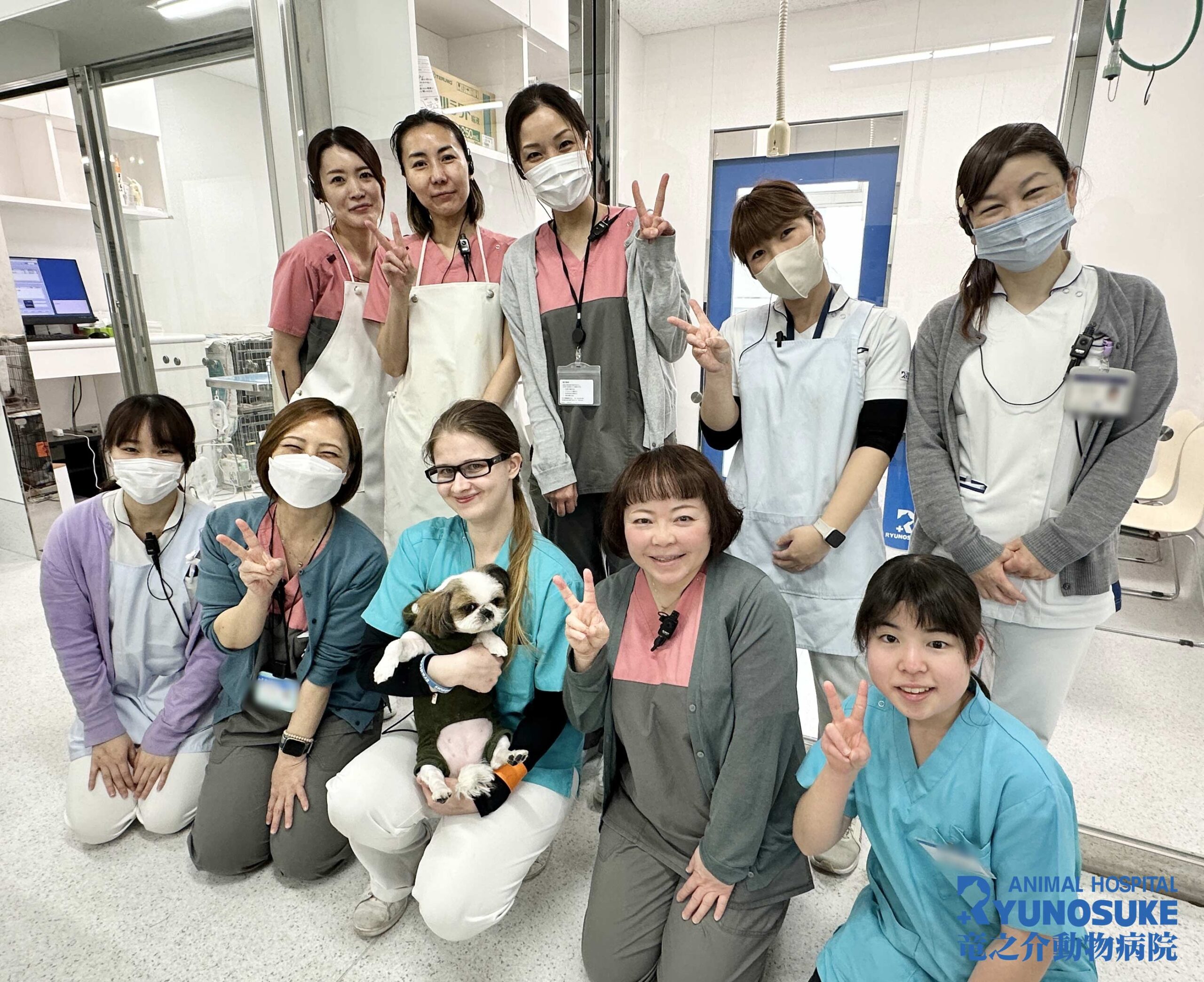 出勤最終日!! - 竜之介動物病院