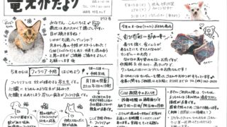 2025年5月 竜之介だより第272号