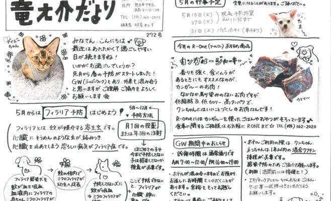 2025年5月の竜之介だより