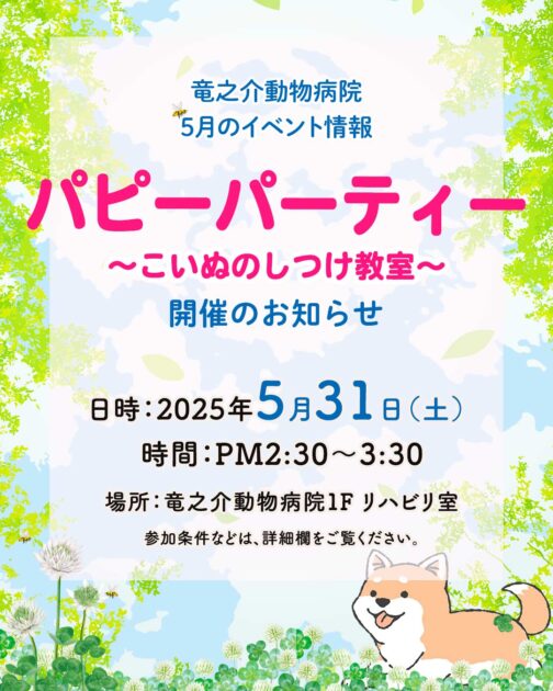 2025年5月のパピーパーティー開催のお知らせ