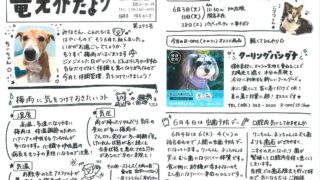 2025年6月 竜之介だより第273号