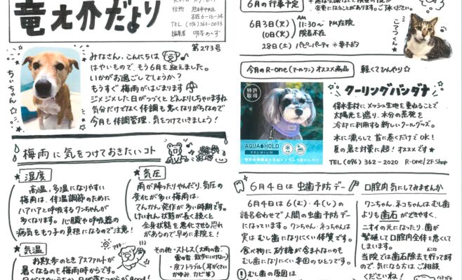 2025年6月の竜之介だより