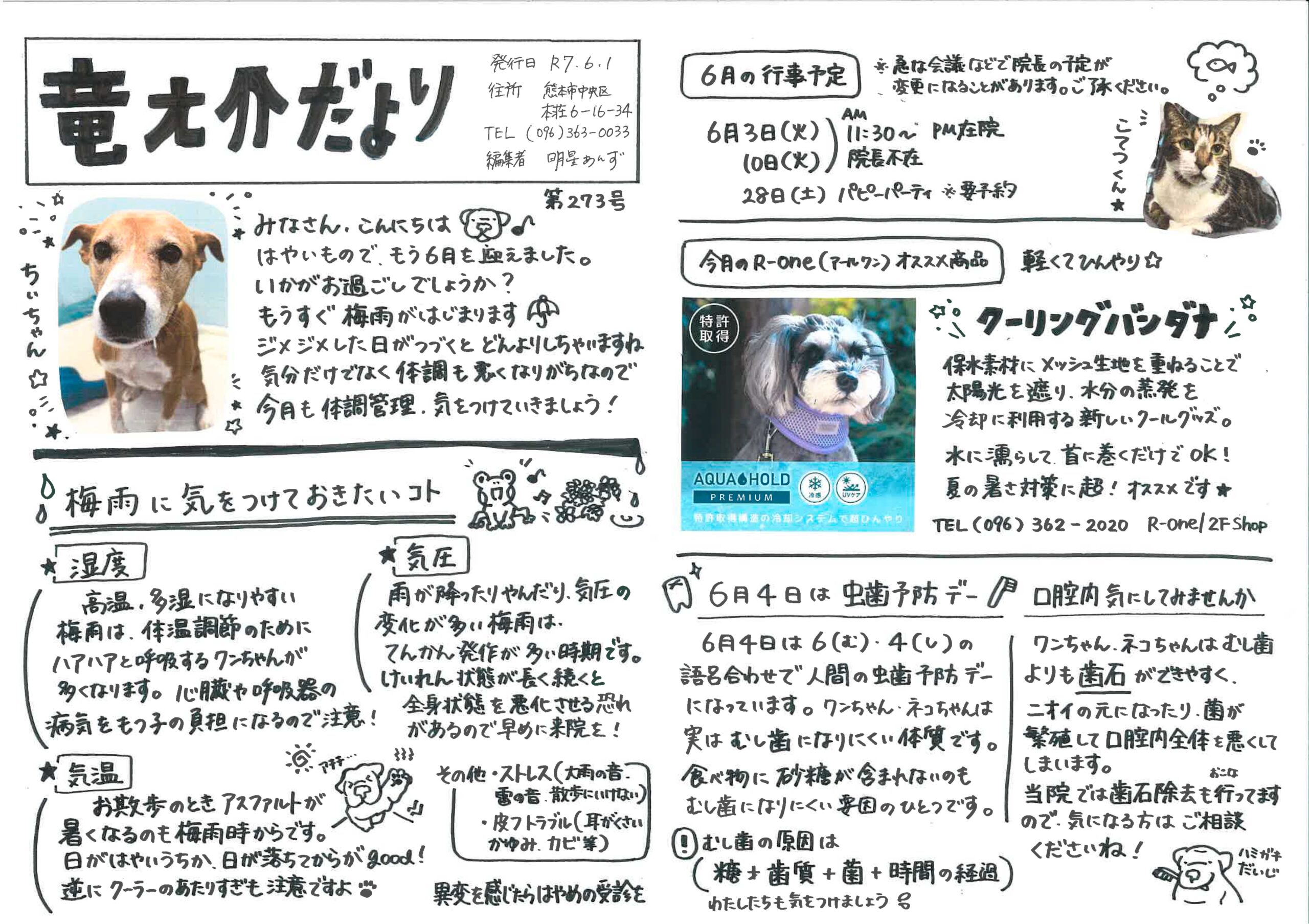 2025年6月の竜之介だより