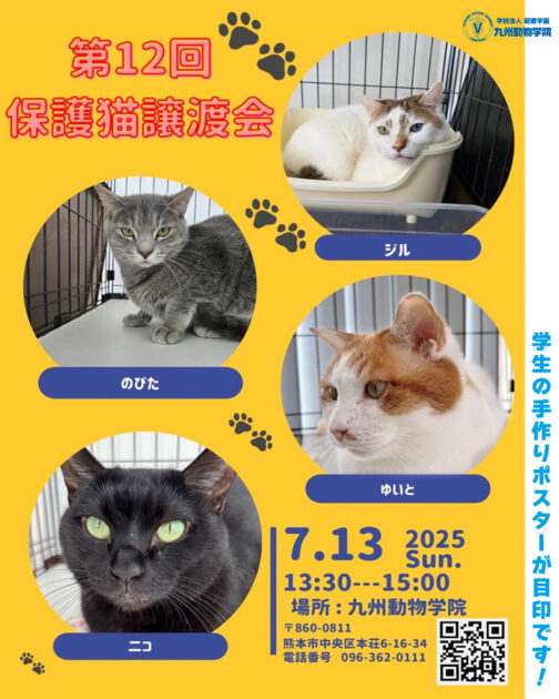 譲渡会のお知らせ