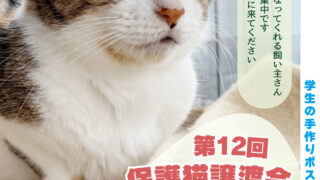 大人猫ちゃん譲渡会のお知らせin九州動物学院