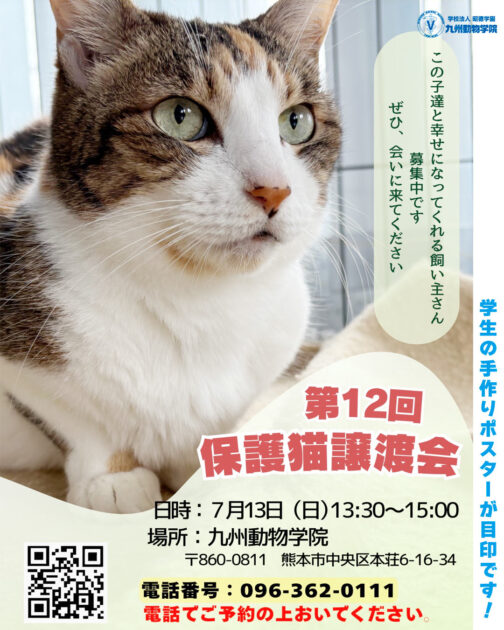 譲渡会のお知らせ