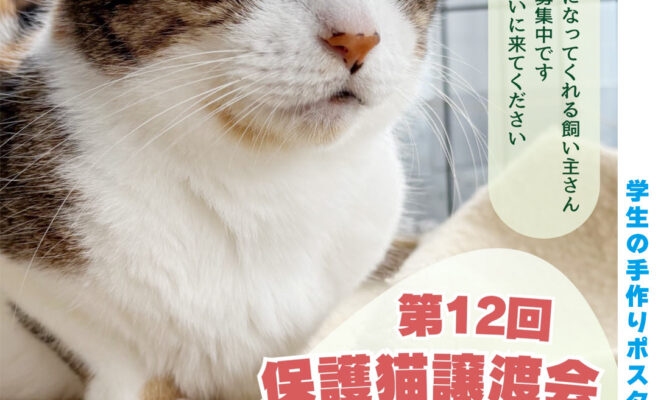 譲渡会のお知らせ