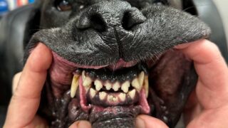 6月4日は「虫歯の日」お口の健康相談お気軽にどうぞ！