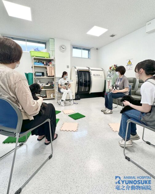 2025年6月のパピーパーティー