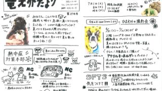 2025年7月 竜之介だより第274号