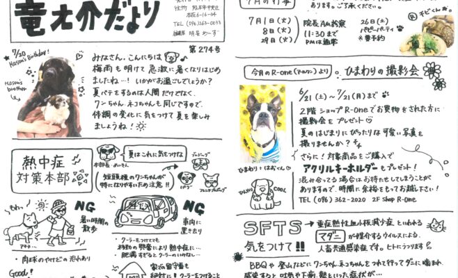 2025年7月の竜之介だより