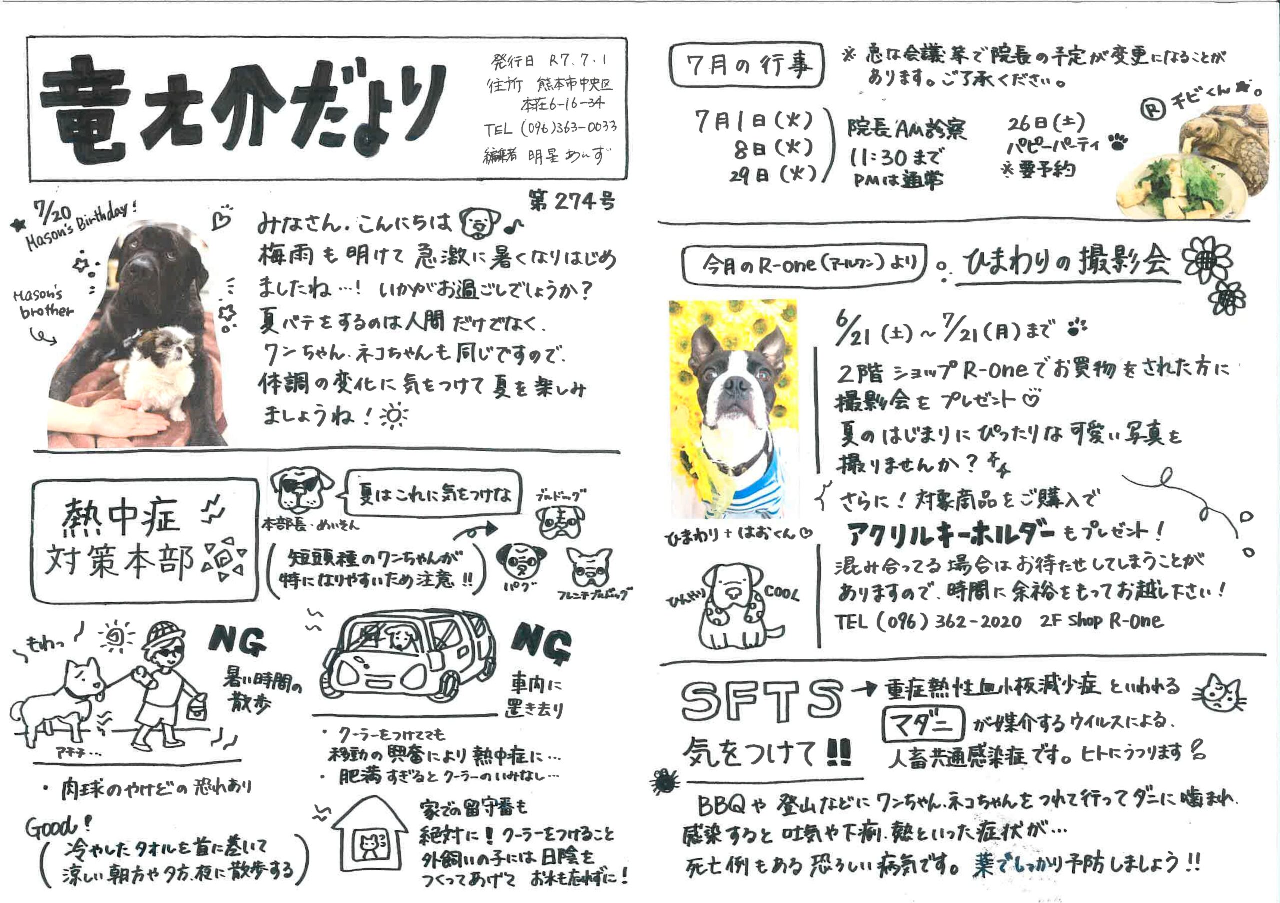 2025年7月の竜之介だより