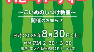 イベント　8月のパピーパーティ〜仔犬のしつけ教室開催のお知らせ