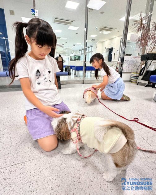 子どもたちに抱っこされるブシャと御台