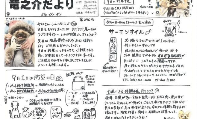 2025年9月の竜之介だより