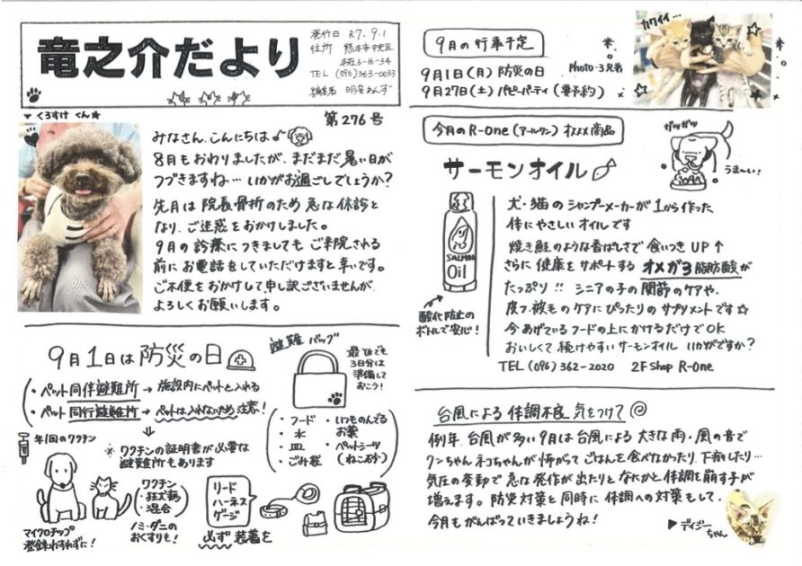 2025年9月の竜之介だより