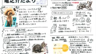 2025年10月 竜之介だより第277号