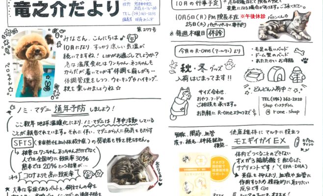 2025年10月の竜之介だより