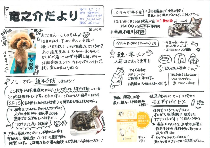 2025年10月の竜之介だより