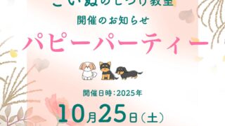 イベント　10月のパピーパーティ〜仔犬のしつけ教室開催のお知らせ