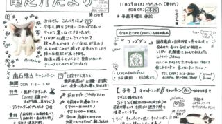 2025年11月 竜之介だより第278号