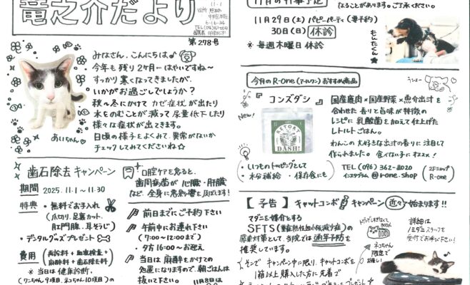 2025年11月の竜之介だより