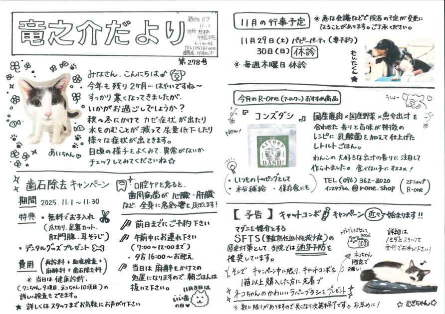 2025年11月の竜之介だより