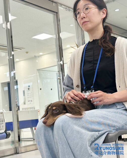 2025年10月のパピパ