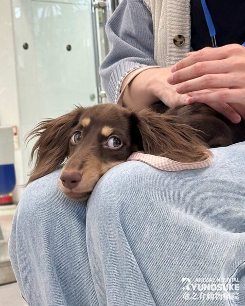 2025年10月のパピパ