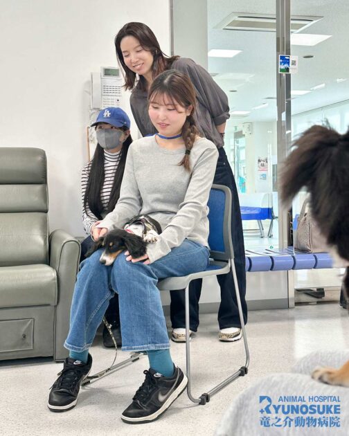 2025年10月のパピパ