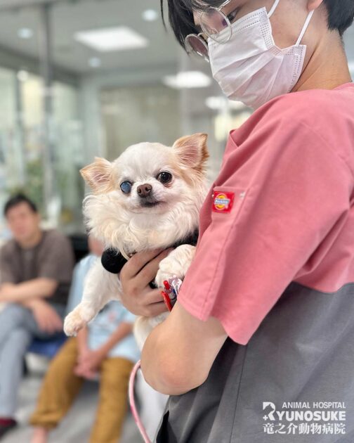 2025年10月のパピパ