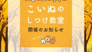 イベント　11月のパピーパーティ〜仔犬のしつけ教室開催のお知らせ