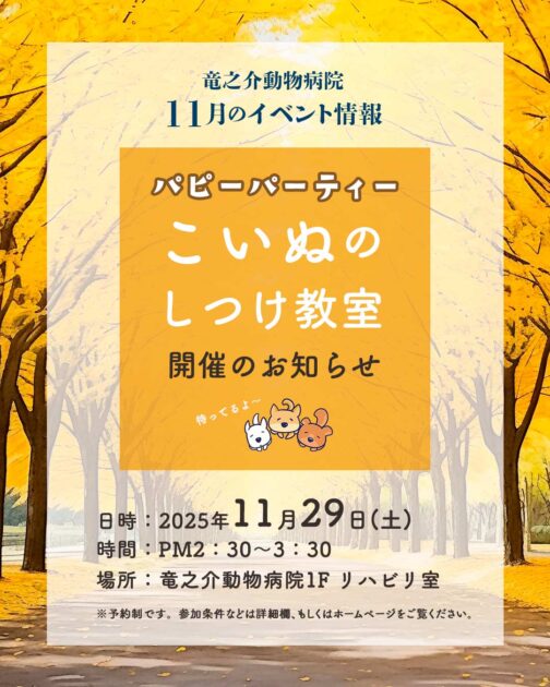 2025年11月のパピーパーティー